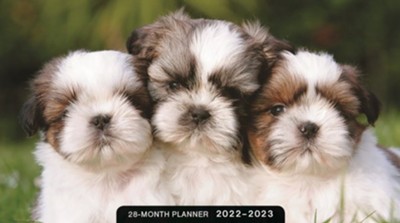 2022/2023 Daily Planner: Puppies (28 Months) - DaySpring